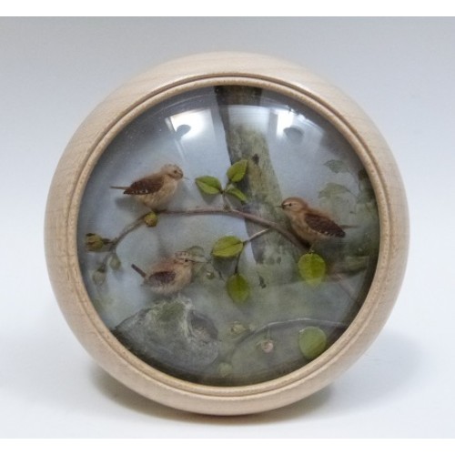 Wren and Young (7-inch)